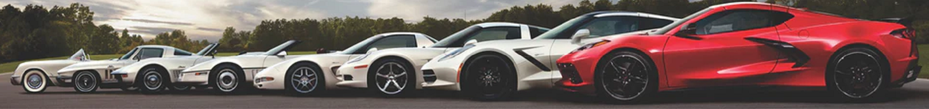 Corvette Club of the Palm Beaches Banner